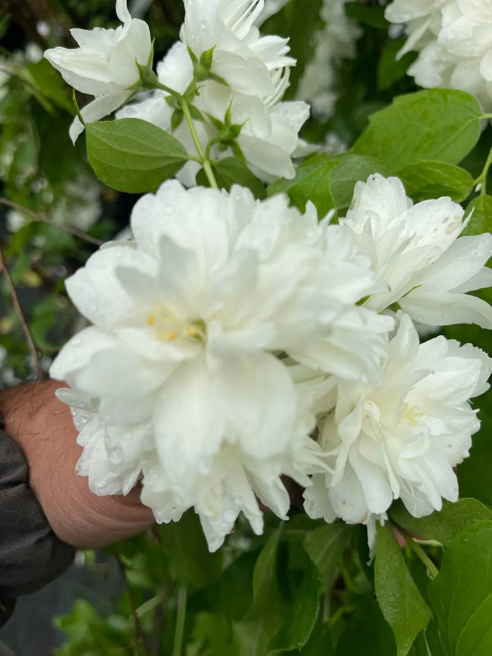 Светлана Марина Светлана Марина