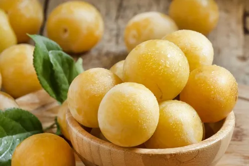 Красивая сестра сливы        