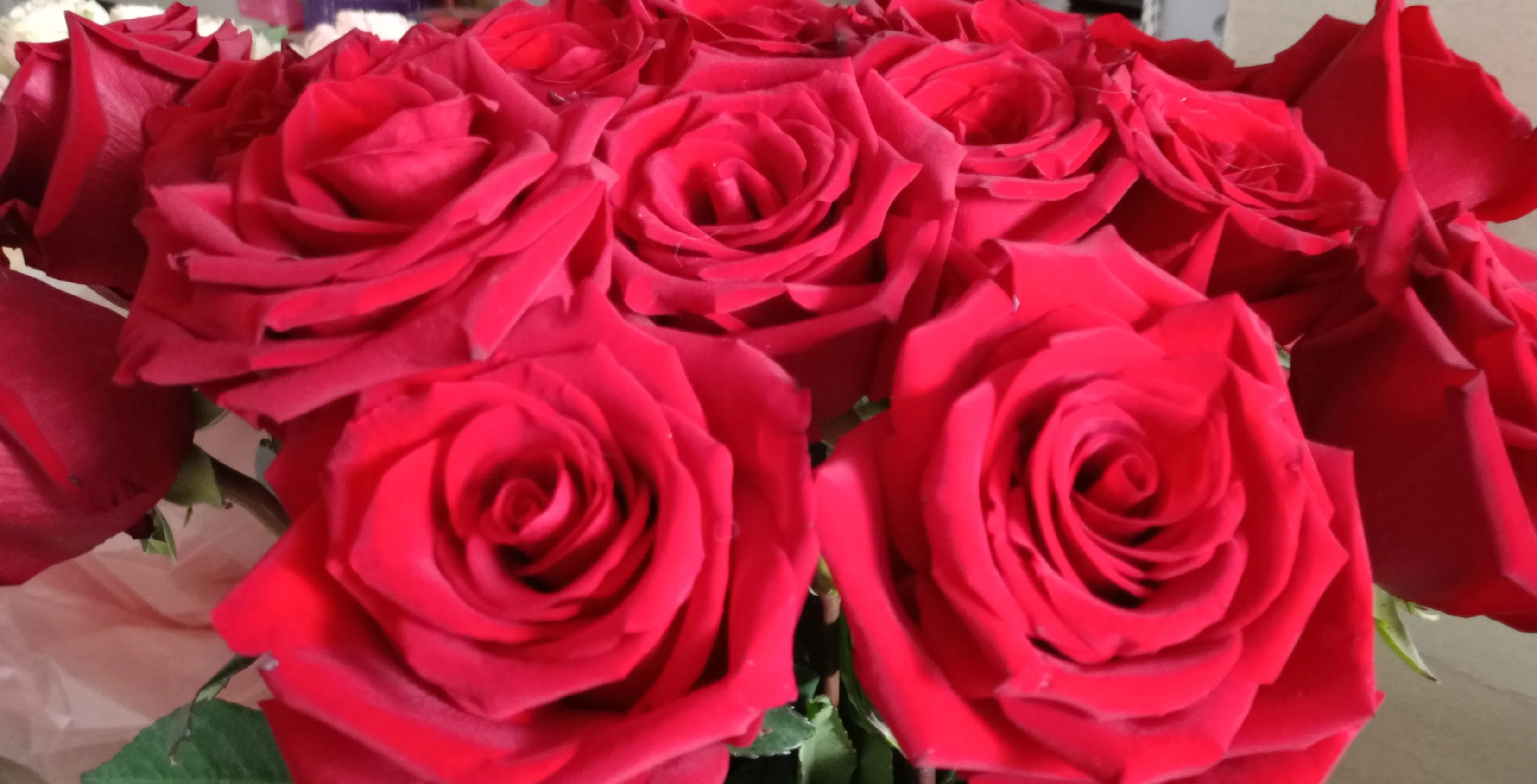 Татьяна Татьяна