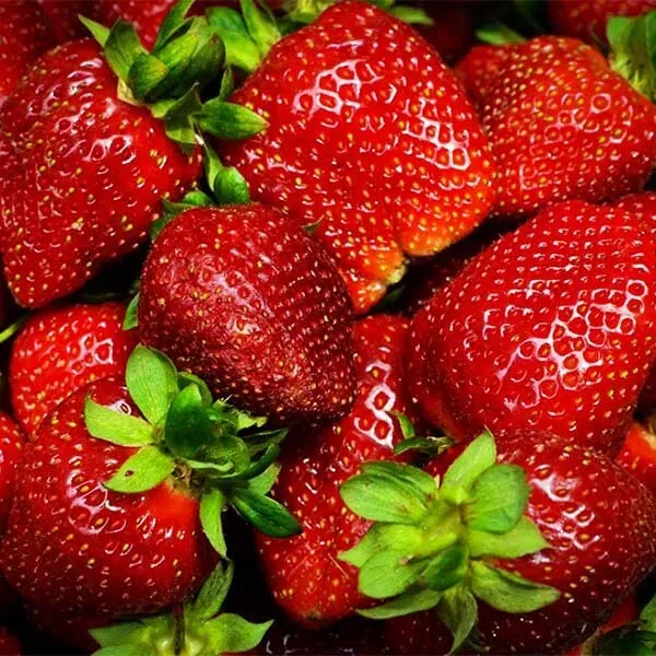 Сладкая.jpg Сладкая.jpg