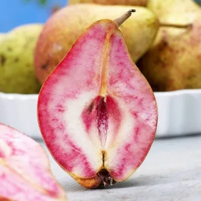 Груша БЛЮТБЕРН — описание сорта Груша БЛЮТБЕРН в Москве