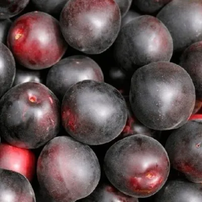 Абрикос ЧЕРНЫЙ ПРИНЦ в Москве